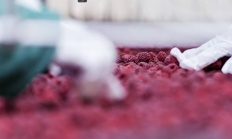 UKAS Temperature Calibrations for the Food Production Sectors