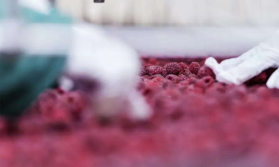 Temperature monitoring for food production